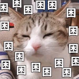 DƬ